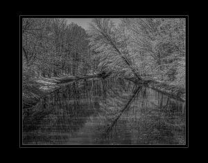 David W. Johnson - FIRST PLACE